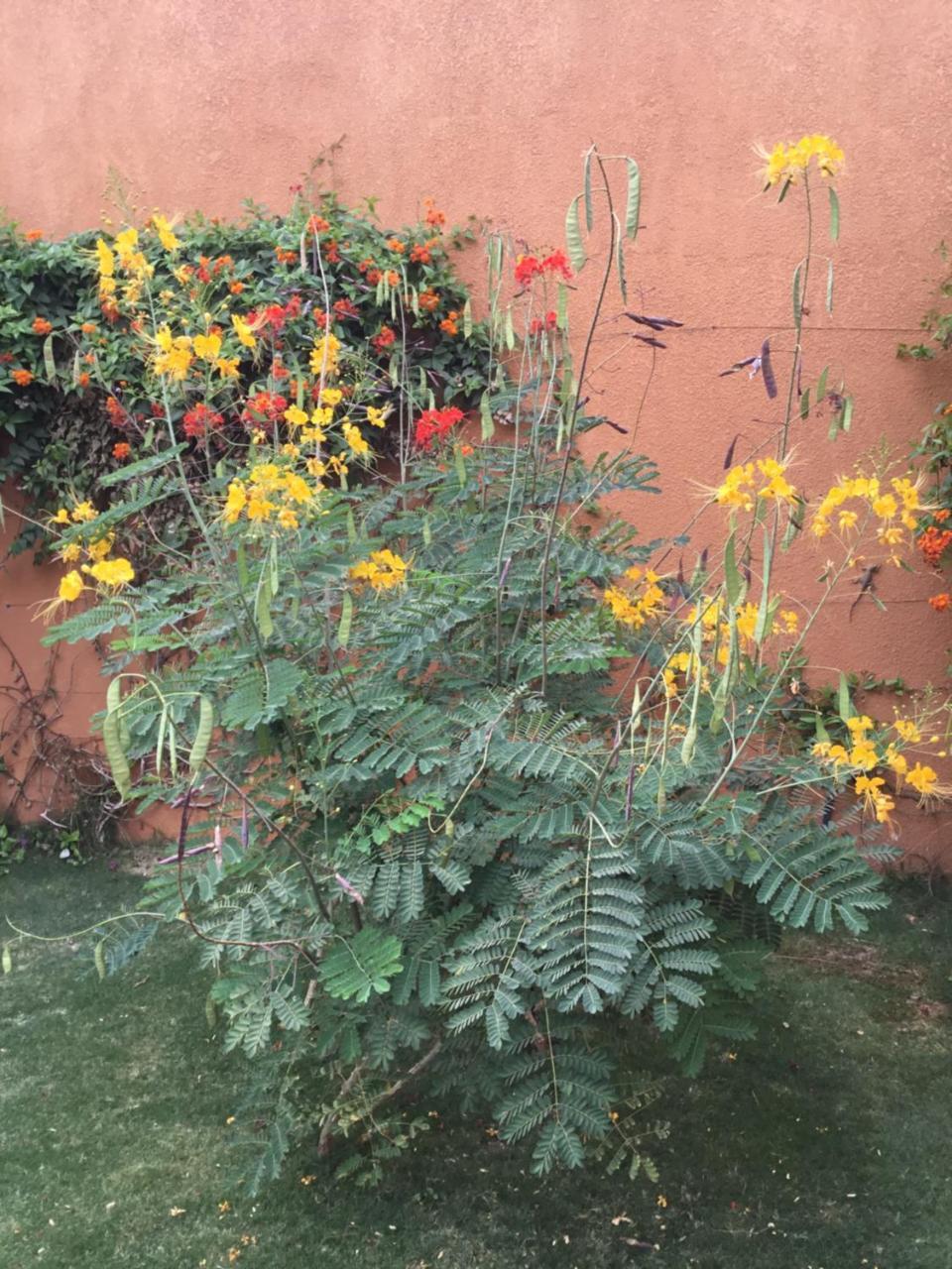Terra Lodge Senegal M'Bour Buitenkant foto