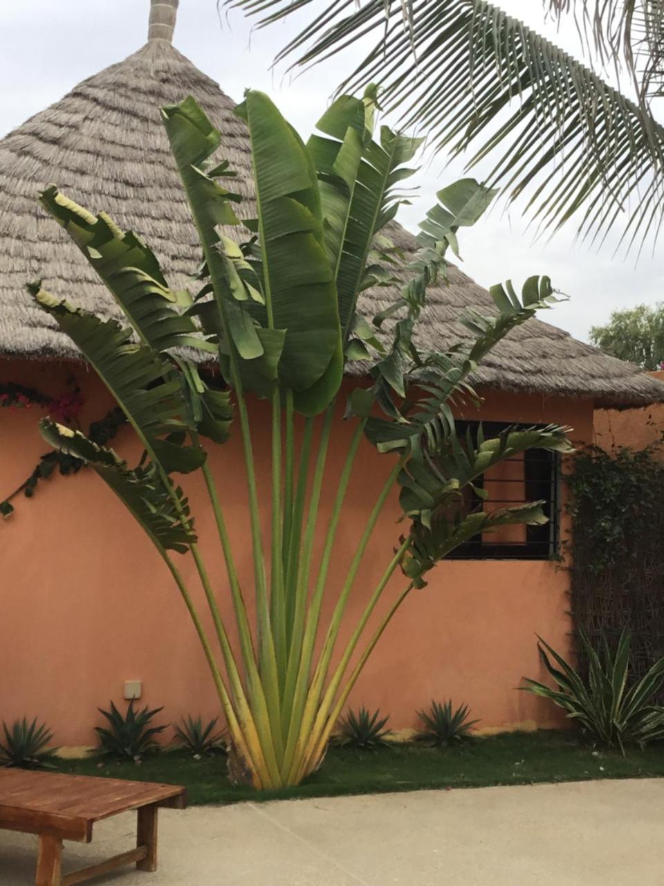 Terra Lodge Senegal M'Bour Buitenkant foto
