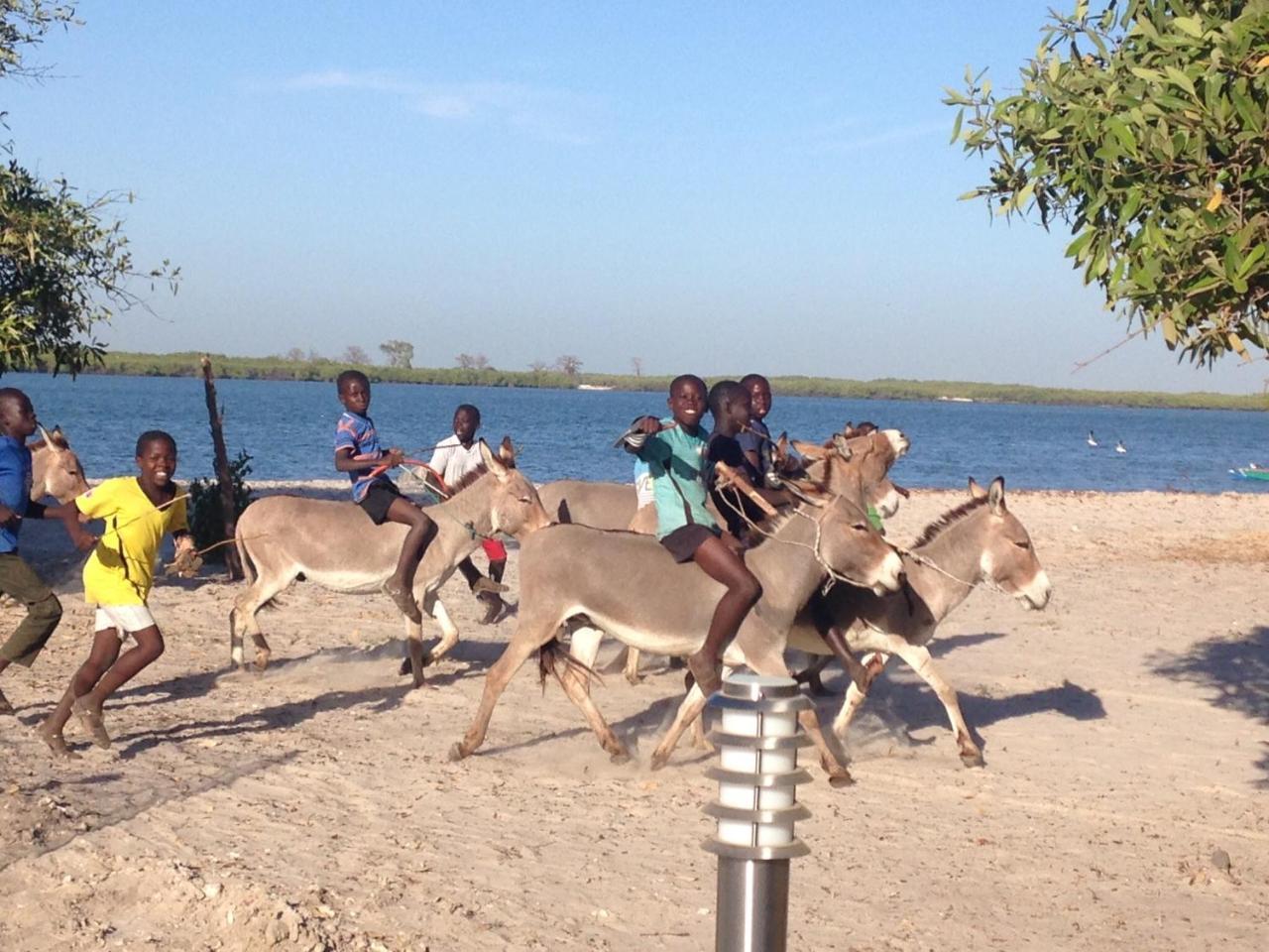 Terra Lodge Senegal M'Bour Buitenkant foto