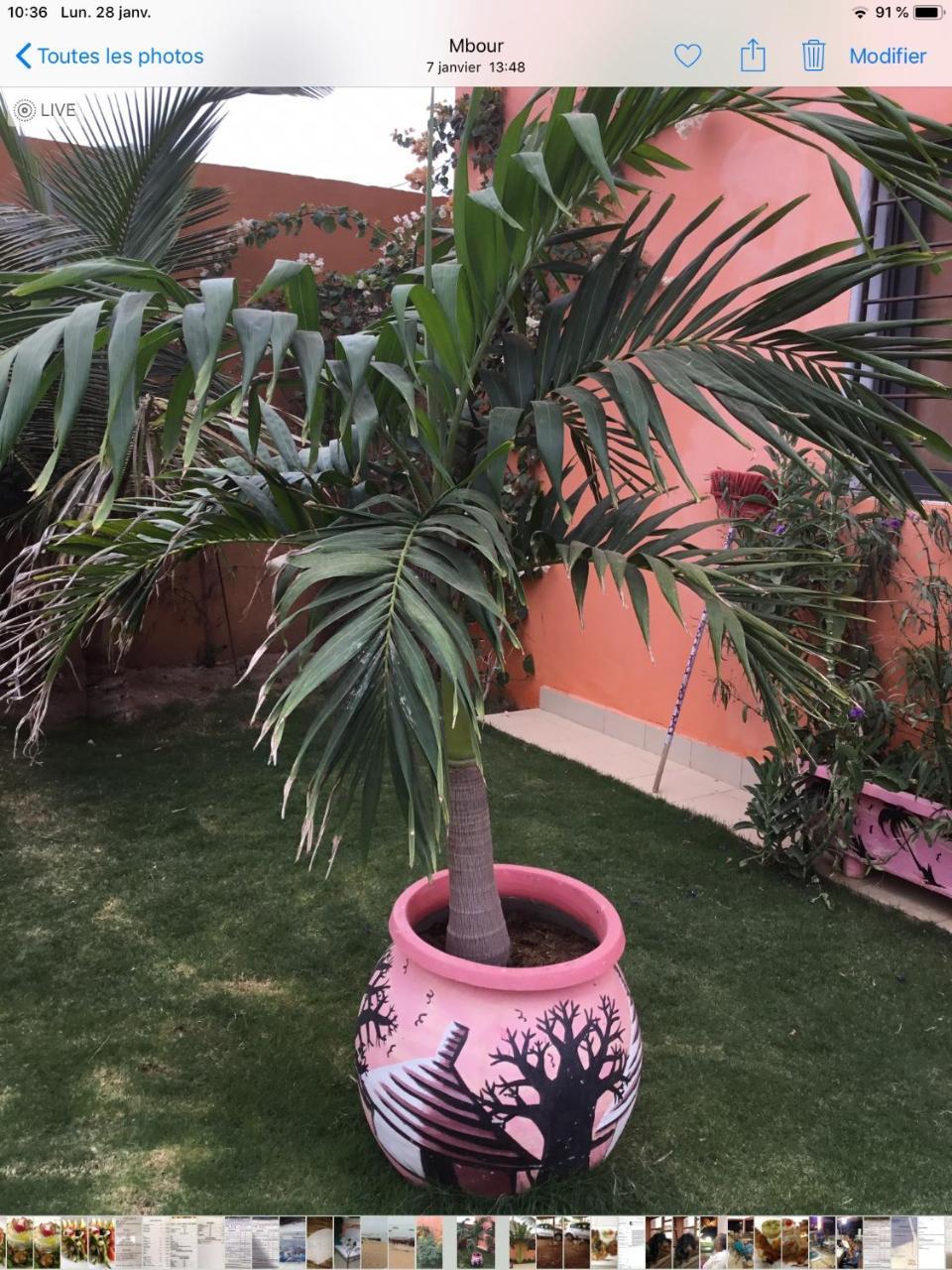 Terra Lodge Senegal M'Bour Buitenkant foto