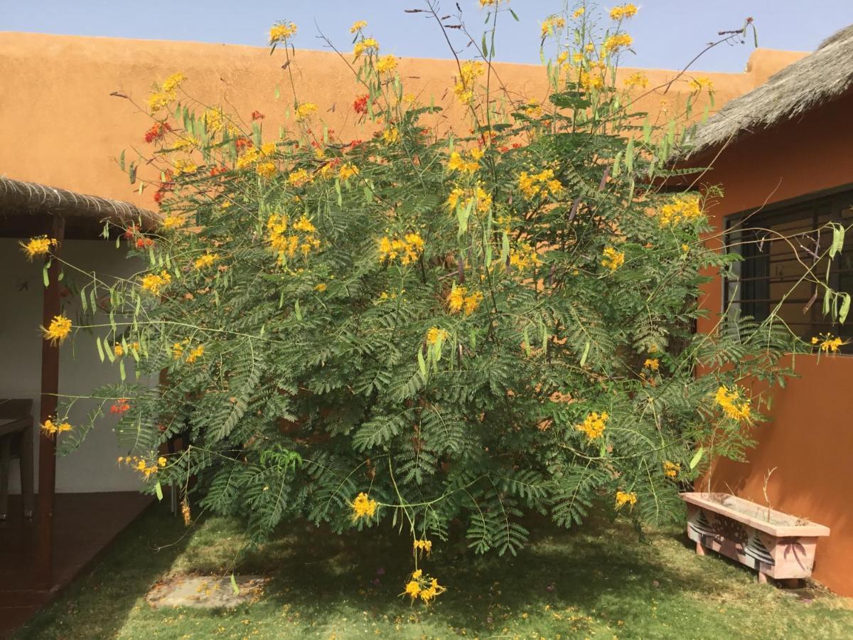 Terra Lodge Senegal M'Bour Buitenkant foto